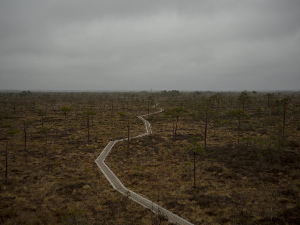 Soomaa National Park: Estonia’s unique nature reserve and the fifth season
