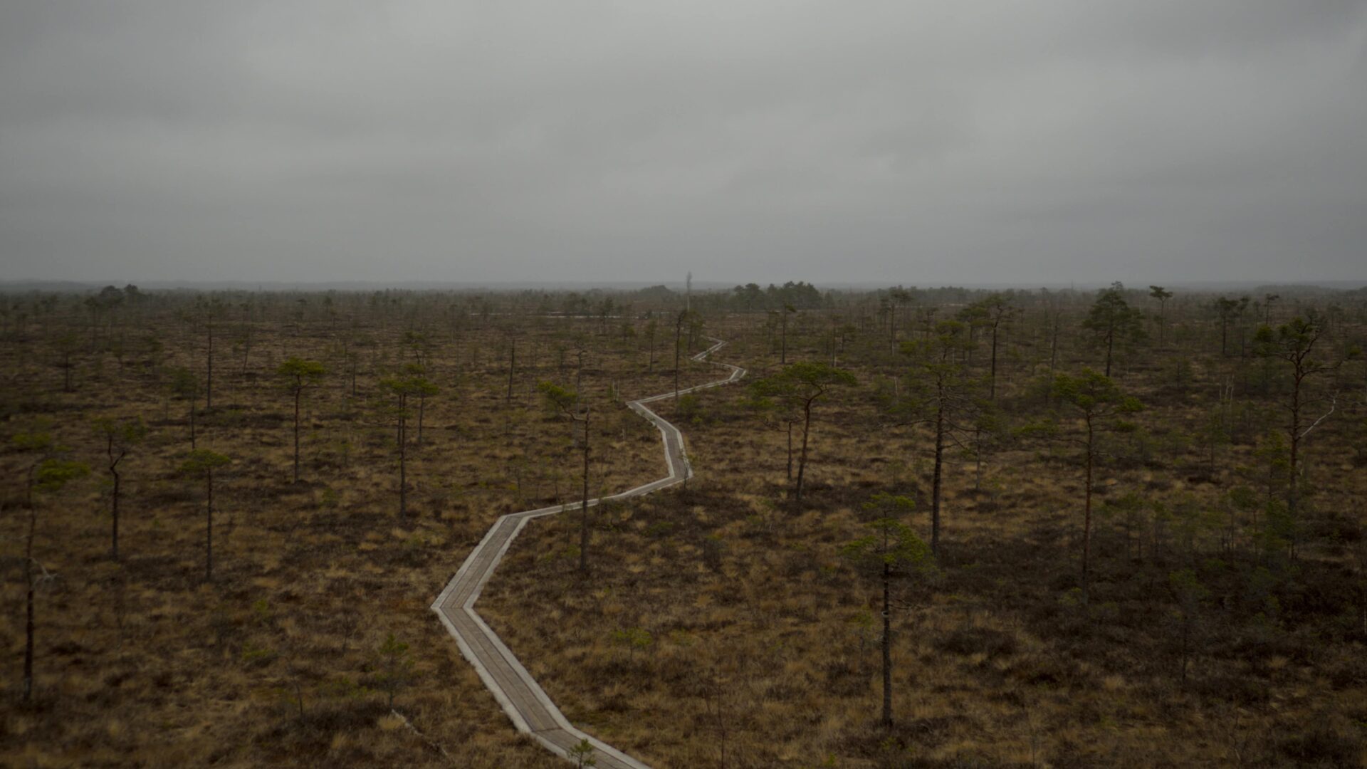 soomaa rahvuspark