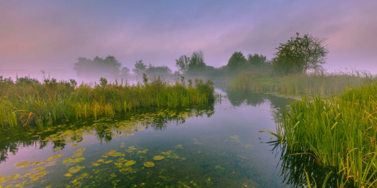 emajõen suursuo